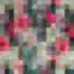 Bunter, floraler Stoff mit Kakteen und Blumen in kräftigen Farben auf grünem Hintergrund.