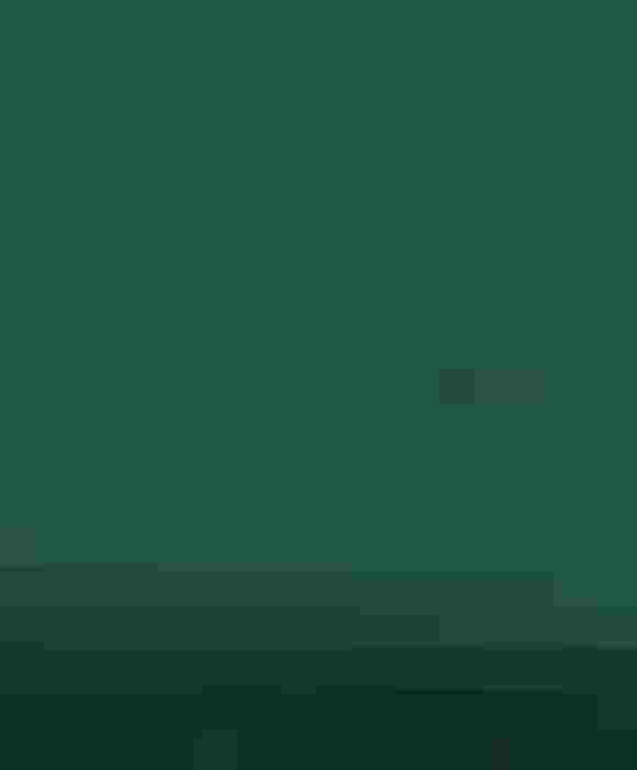 Elegante Kleid aus einem Baumwoll-Elasthan-Mix in sattem Grün für stilvolle Auftritte.