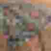 Bunte Baumwoll-Schürze mit floralen Mustern auf dunklem Hintergrund, ideal für festliche Anlässe.