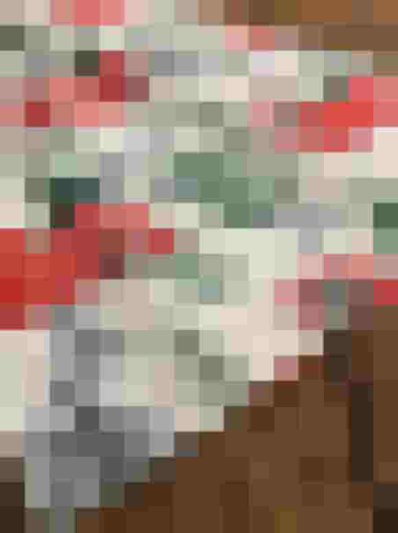 Stoff mit roten Fahrzeugmotiven vor grünen Tannen auf hellem Hintergrund.