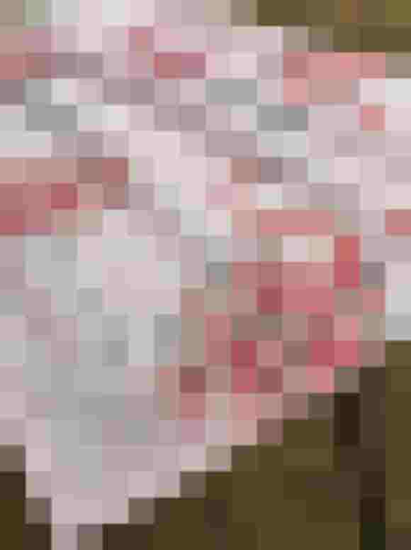 Ein pinker Tellerrock mit Flamingo- und Rosenmuster auf holzigem Untergrund.