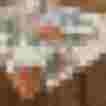Bunte Blätter auf einem weißen Stoff, detailreiche Textur und alpin-inspiriertes Design.