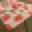 Bunte Schürze mit Erdbeer-Motiv auf rosa Hintergrund, ideal für jeden Anlass.