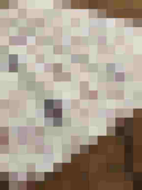 Handgefertigte Schürze mit floralem Muster auf weißem Baumwollstoff, ideal für jede Gelegenheit.