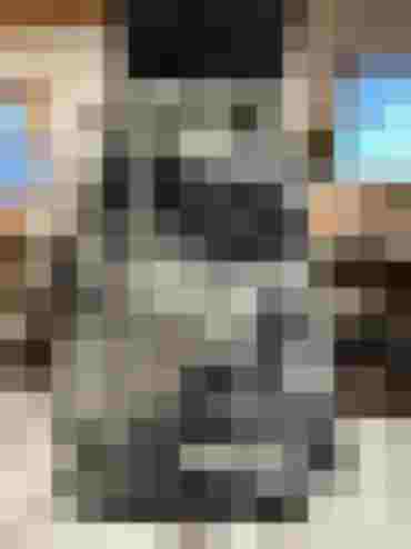 Erinnerungsschürze Damen