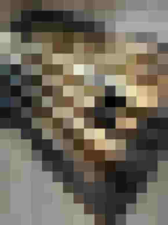 Gefaltete Baumwollschürze mit Hirschmotiv in Schwarz, Beige und Goldtönen auf grauem Holzboden